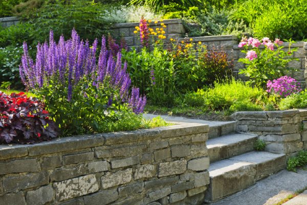Home Style: Stunning Front Yard Landscape Design Ideas and Trends