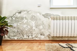 renovation